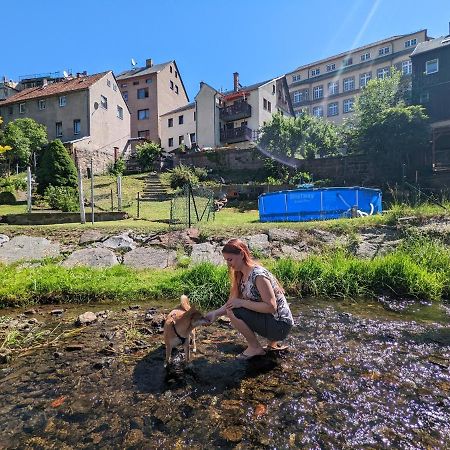 Urlaubstraum Mit Pool, Terrasse & Fluss Im Garten - Ut Sebnitz Exterior foto