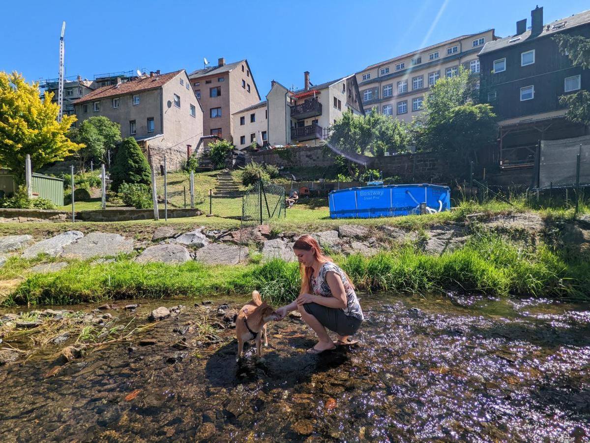 Urlaubstraum Mit Pool, Terrasse & Fluss Im Garten - Ut Sebnitz Exterior foto