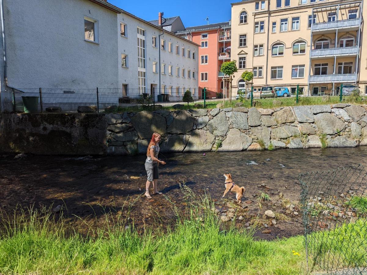 Urlaubstraum Mit Pool, Terrasse & Fluss Im Garten - Ut Sebnitz Exterior foto