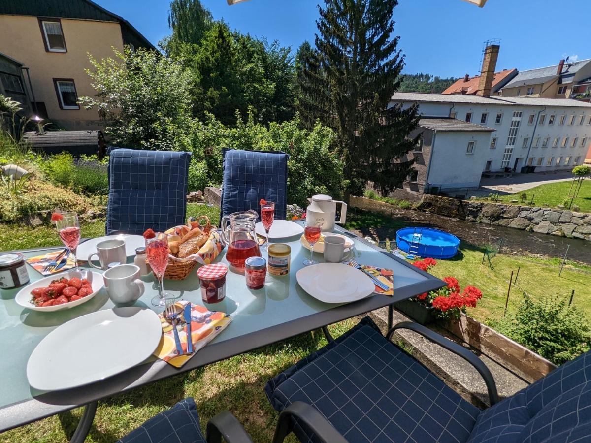 Urlaubstraum Mit Pool, Terrasse & Fluss Im Garten - Ut Sebnitz Exterior foto